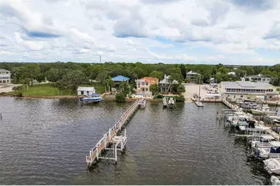 302 Shore Drive, Palm Harbor, FL 34683 - Photo 69
