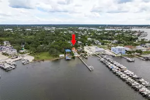 302 Shore Dr, Palm Harbor, FL 34683 - Photo 3