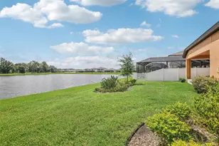 12818 Boggy Creek Dr, Riverview, FL 33579 - Photo 43