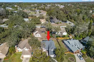 3469 Rolling Trail, Palm Harbor, FL 34684 - Photo 49