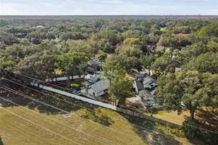 15905 Wainwright Ct, Tampa, FL 33647 - Photo 49