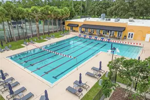 15905 Wainwright Ct, Tampa, FL 33647 - Photo 55