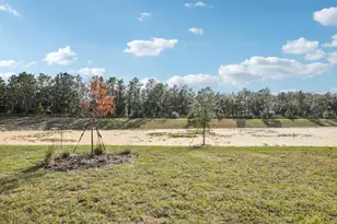 22137 Amberbush Ct, Mount Dora, FL 32757 - Photo 65