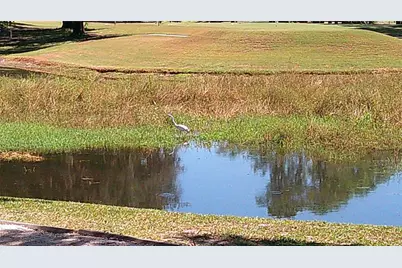 3002 Bent Creek Drive, Valrico, FL 33596 - Photo 23