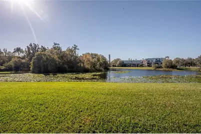 5100 Burchette Road #3903, Tampa, FL 33647 - Photo 21