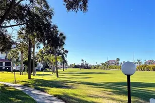 6269 Palma Del Mar Blvd, Saint Petersburg, FL 33715 - Photo 29