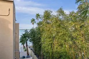 1420 Bayshore Blvd, Dunedin, FL 34698 - Photo 21