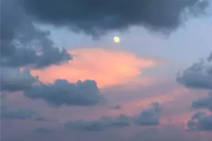 880 Mandalay Ave, Clearwater Beach, FL 33767 - Photo 35