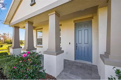 17268 Brighton Lake Road, Land O Lakes, FL 34638 - Photo 5