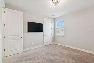 32350 Firemoss Ln, Wesley Chapel, FL 33543 - Photo 73