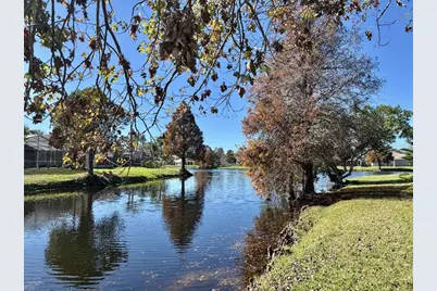 9932 Stockbridge Drive, Tampa, FL 33626 - Photo 33