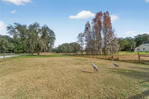 725 Giant Oak Rd, Lakeland, FL 33810 - Photo 69