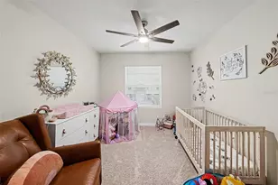 16180 Glowing Grove Ave, Odessa, FL 33556 - Photo 19