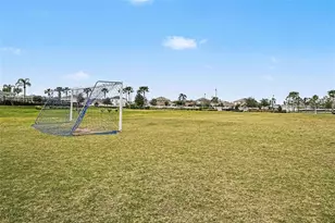 16180 Glowing Grove Ave, Odessa, FL 33556 - Photo 31