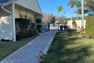 1333 Shady Pine Way, Tarpon Springs, FL 34688 - Photo 45