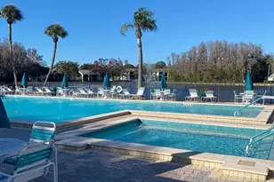 1333 Shady Pine Way, Tarpon Springs, FL 34688 - Photo 49
