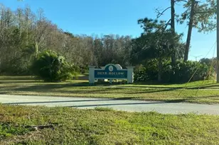 1333 Shady Pine Way, Tarpon Springs, FL 34688 - Photo 37