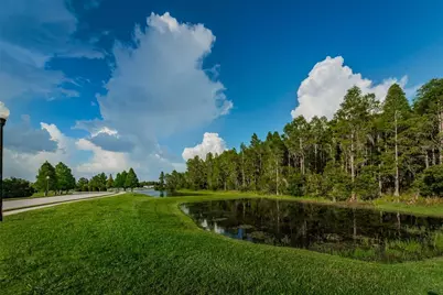 1437 Halapa Way, Trinity, FL 34655 - Photo 57