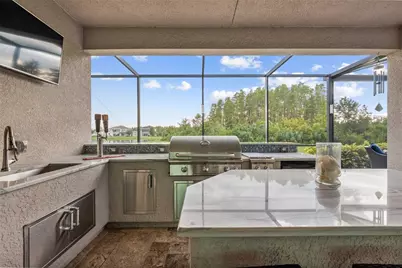 2611 Coco Palm Circle, Wesley Chapel, FL 33543 - Photo 67