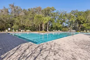 5937 Sweet Birch Dr, Riverview, FL 33578 - Photo 41