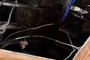 1220 47th St N, Saint Petersburg, FL 33713 - Photo 11