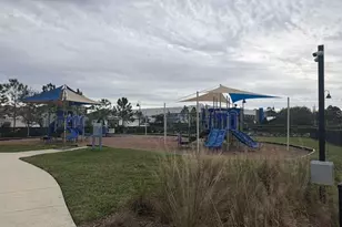 2994 Suncoast Plaines, Odessa, FL 33556 - Photo 63