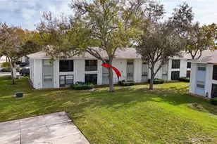 3806 N Oak Dr, Tampa, FL 33611 - Photo 39