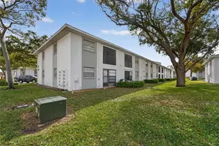 3806 N Oak Dr, Tampa, FL 33611 - Photo 29