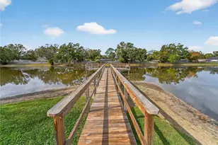 3806 N Oak Dr, Tampa, FL 33611 - Photo 35