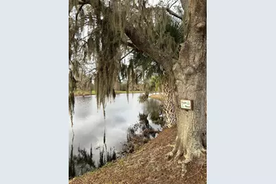 Fort Myers Drive, Indian Lake Estates, FL 33855 - Photo 11