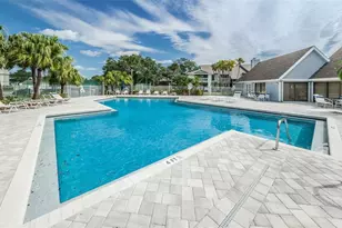 455 Alt 19 S, Palm Harbor, FL 34683 - Photo 47