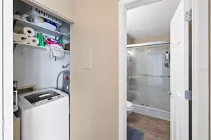 3815 N Oak Dr, Tampa, FL 33611 - Photo 17