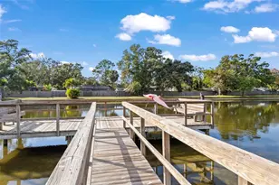 3815 N Oak Dr, Tampa, FL 33611 - Photo 27