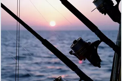 4005 51st Avenue N, Saint Petersburg, FL 33714 - Photo 45