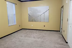 5009 Sunridge Palms Dr, Tampa, FL 33617 - Photo 21