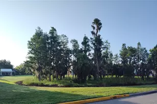 3618 Buffett St, New Port Richey, FL 34655 - Photo 59