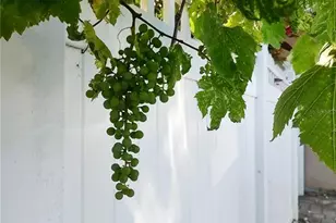 3618 Buffett St, New Port Richey, FL 34655 - Photo 43