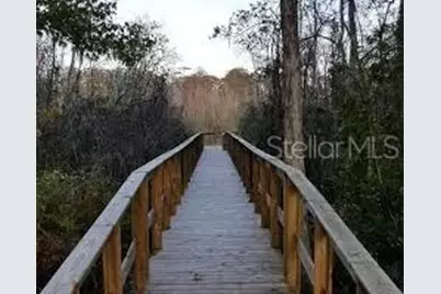 12417 Sourwood Way, New Port Richey, FL 34654 - Photo 43