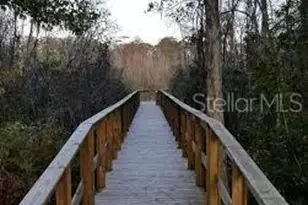 12417 Sourwood Way, New Port Richey, FL 34654 - Photo 43