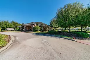 10248 Carloway Hills Dr, Wimauma, FL 33598 - Photo 49