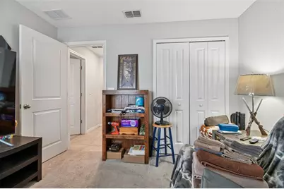 10248 Carloway Hills Drive, Wimauma, FL 33598 - Photo 23