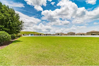 10248 Carloway Hills Drive, Wimauma, FL 33598 - Photo 55