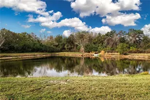 1908 Sterling Glen Ct, Sun City Center, FL 33573 - Photo 49