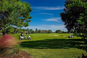 1908 Sterling Glen Ct, Sun City Center, FL 33573 - Photo 69