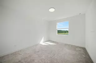 3254 Woodland Brk Wy, Wesley Chapel, FL 33543 - Photo 29