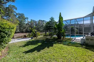 3620 Cordgrass Dr, Valrico, FL 33596 - Photo 33