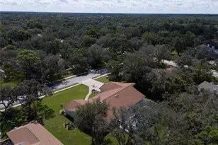 4603 Lake in the Woods Dr, Spring Hill, FL 34607 - Photo 55