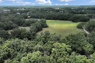6416 Thonotosassa Rd, Plant City, FL 33565 - Photo 3