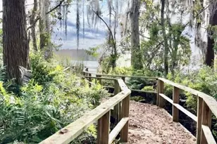 13020 Lorna Pl, Tampa, FL 33618 - Photo 41