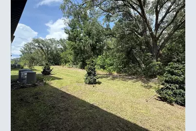 10232 Trumpet Honeysuckle Way, San Antonio, FL 33576 - Photo 29
